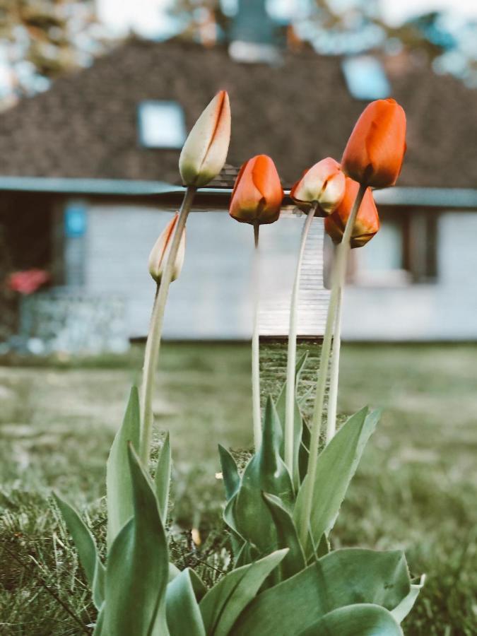 Clockhouse Cottage Saulkrasti Zewnętrze zdjęcie